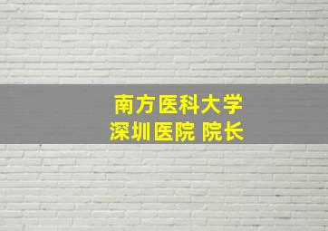 南方医科大学深圳医院 院长